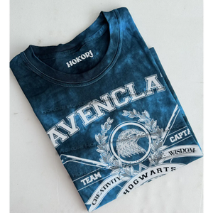 Polera Ravenclaw Quidditch Team