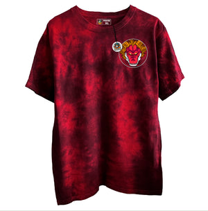 Polera Dragon Ball GT